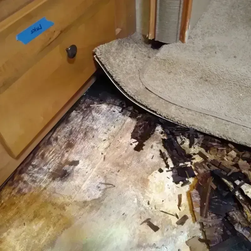 Wood Floor Water Damage in Brush, CO